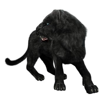 3D digital render of a black panther looking back isolated on white background
