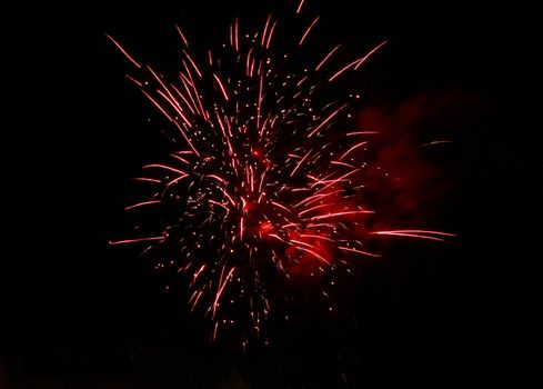 Celebration firework in the black night sky