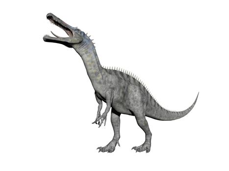 suchomimus dinosaur in white background - 3d render