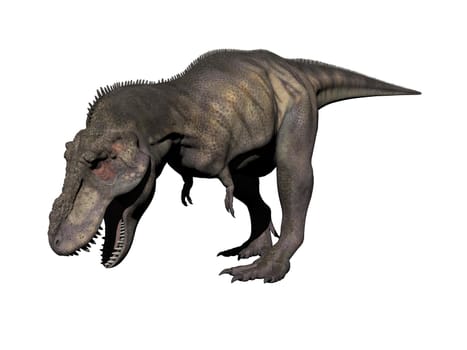 tyrannosaurus dinosaur in white background - 3d render