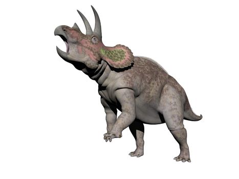 triceratops dinosaur in white background - 3d render