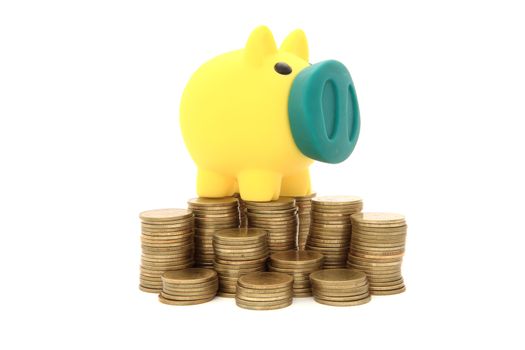 Pig money box/piggy bank with coins