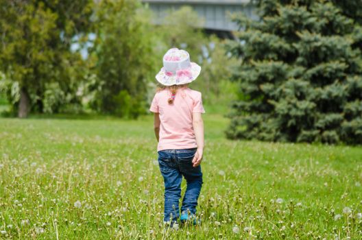 Little girl walking on the grass with dandelions