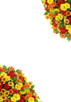 Frame of flowers on white background