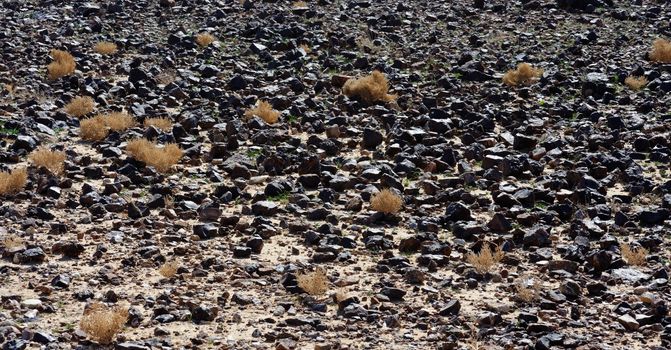 Black stone field in the desert