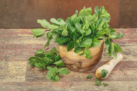 Fresh green mint in mortar on rustic wooden background. Copy space composition. Macro, selective focus