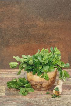 Fresh green mint in mortar on rustic wooden background. Copy space composition. Macro, selective focus