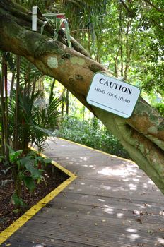 Caution sign of mind your head in the garden