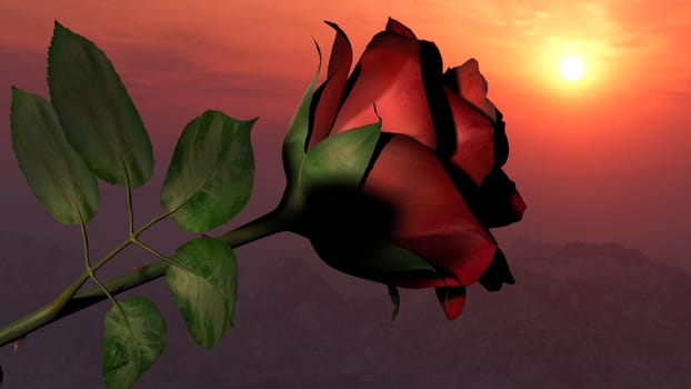 Red rose flower on dramatic, romantic sunset sky. Suitable for Valentines day, Mothers day, wedding anniversary celebrations.