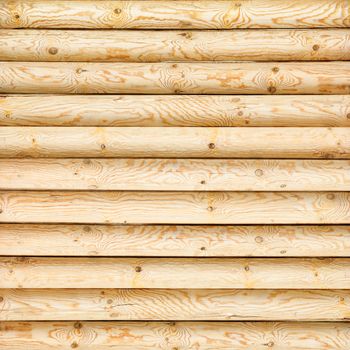 log wall of yellow pine