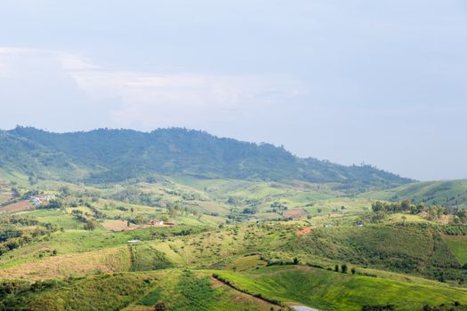 Agricultural areas in the mountains. Zoning, agricultural plantations on forest land from the villagers.