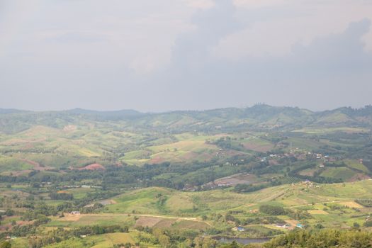 Agricultural areas in the mountains. Zoning, agricultural plantations on forest land from the villagers.