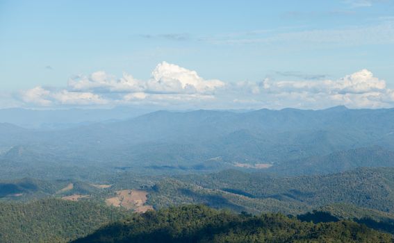 Forested mountains and sky. Luxuriant trees of the forest-covered mountains. The sky is clearing up.