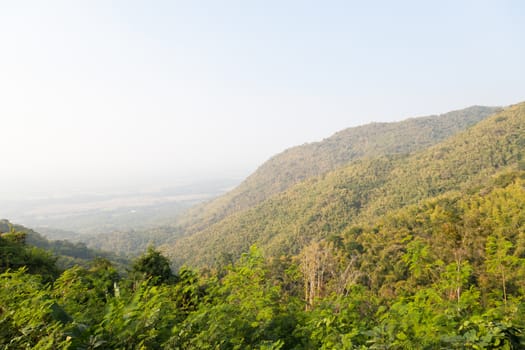 tree covered peaks. Fog in the morning. ForestCovered mountains around