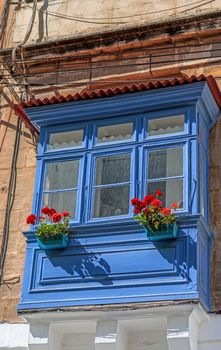 Old blue balcony with red blooming flowers