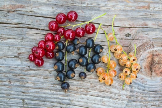 Red, black and yellow currant on the old wooden table