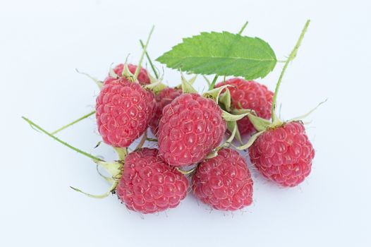 Raspberry with leaves on the light background