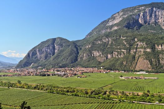 Overview of Adige Valley with Mezzolombardo village, Trentino, Italy