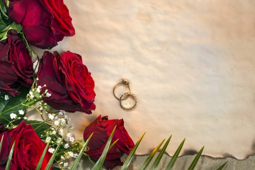 Red roses are often used as a symbol of love. Wedding Day and Wedding rings. Genus Rosa, family Rosaceae.  Space for text.