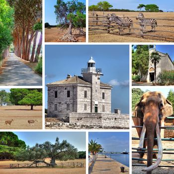 Brijuni islands national park nature view collage, Istria, Croatia