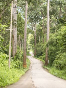 Curved road in forest on hill in Chiang Dao, Chiang Mai, Thailand