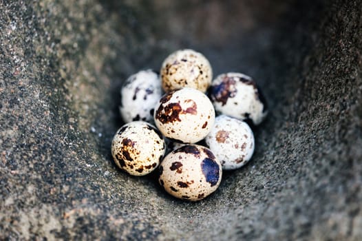 Group of quail eggs on the stone surface