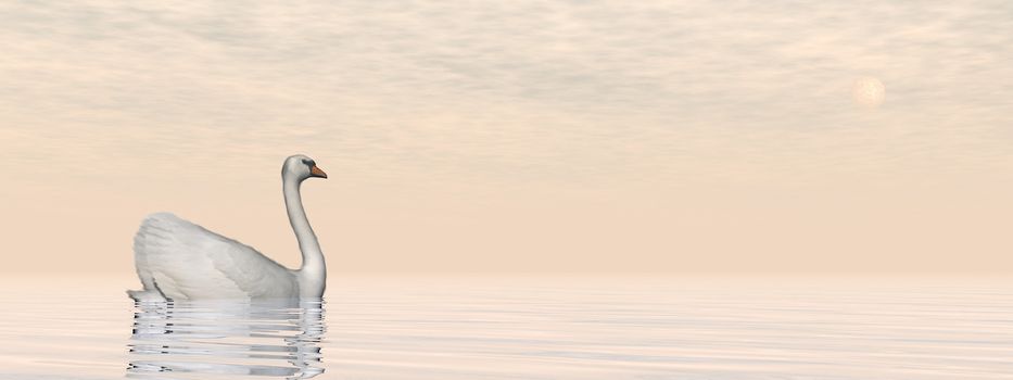 Peaceful white swan floating on the water by sunset - 3D render