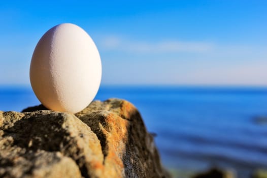 Hen's egg on the rocky coast