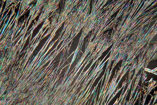 Coumarins are substances that can be found in many plants. They are used for perfume production and many other purposes. The photo is made with a polarization microscope.