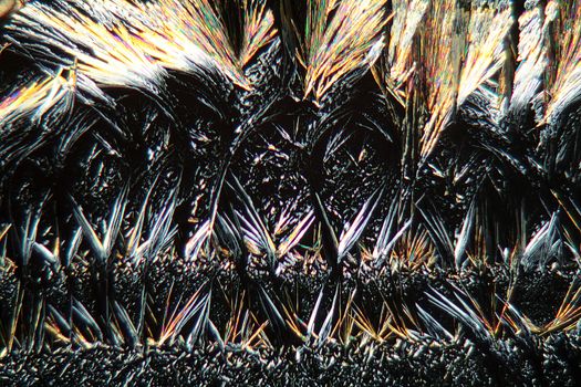 Coumarins are substances that can be found in many plants. They are used for perfume production and many other purposes. The photo is made with a polarization microscope.