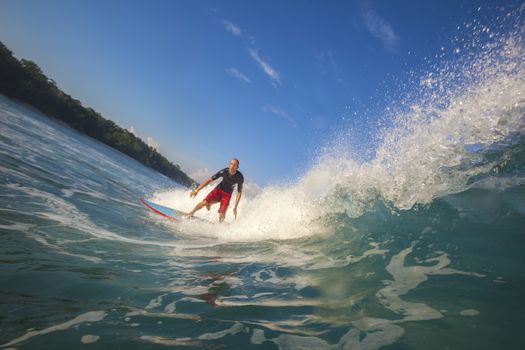 Surfer on Amazing Blue Wave, Bali island.