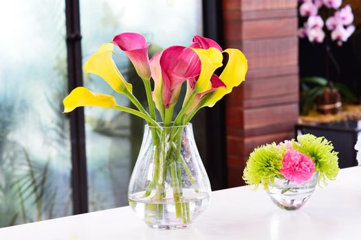 Beautiful calla lily flower in jar for decoration