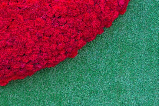 Red carnation flower on the fresh spring green grass background