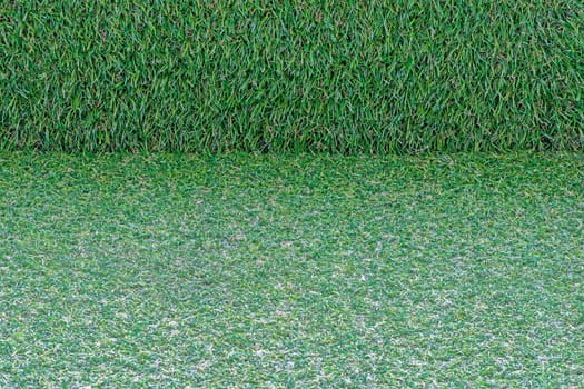 Closeup image of fresh spring green grass background