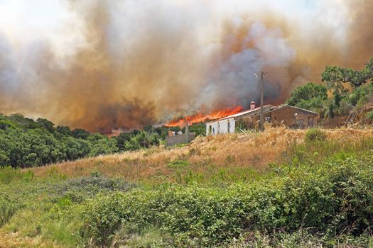 Forest fire burning a house in Portugal