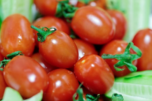Fresh cherry tomatoes with selected focus on blurry background