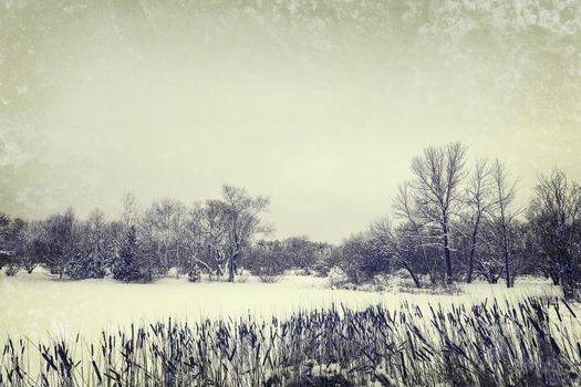 Winter lake and trees. Vintage styled, aged photo.