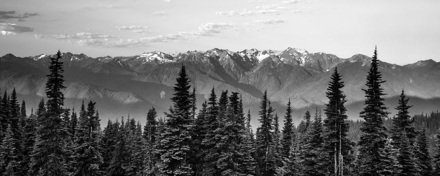 Part of Olympic National Park the sun begins to hit Hurricane Ridge