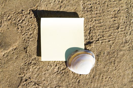 Sea shell with blank, yellow stick post on sandy beach.