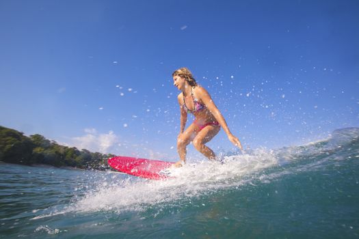 Surfer girl on Amazing Blue Wave, Bali island.