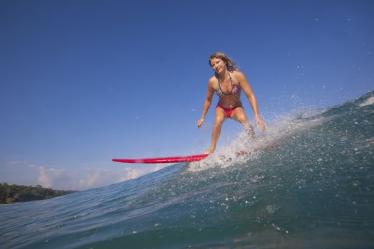 Surfer girl on Amazing Blue Wave, Bali island.