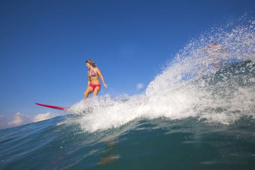 Surfer girl on Amazing Blue Wave, Bali island.