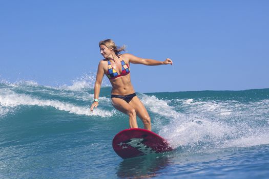 Surfer girl on Amazing Blue Wave, Bali island.