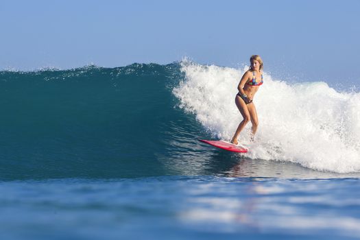 Surfer girl on Amazing Blue Wave, Bali island.