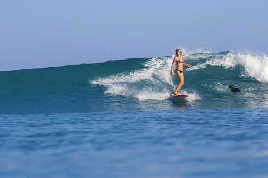 Surfer girl on Amazing Blue Wave, Bali island.