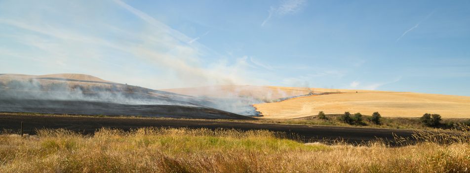 Farmers do a controlled burn before plowing after harvest