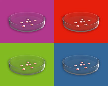 Set of Close up Glass Petri Dish with bacteria on color backgrounds