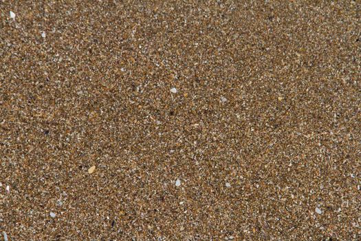 Top view of sandy beach textured background.