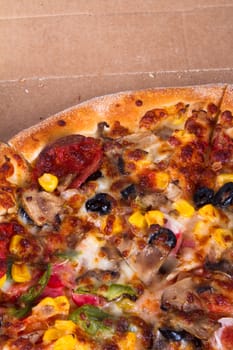 Close up view of delicious fresh pizza.