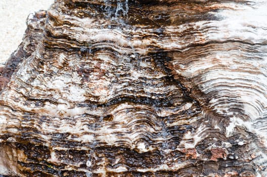 Water flows over a rock or stone.